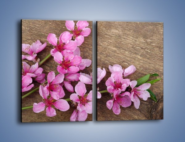 Obraz na płótnie – Kwiat wiśni z bliska – dwuczęściowy prostokątny pionowy K806