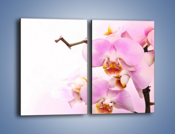 Obraz na płótnie – Delikatny motyw z kwiatami – dwuczęściowy prostokątny pionowy K815