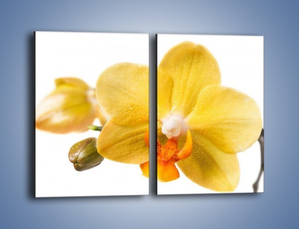 Obraz na płótnie – Kwiat jak soczysta pomarańcza – dwuczęściowy prostokątny pionowy K851