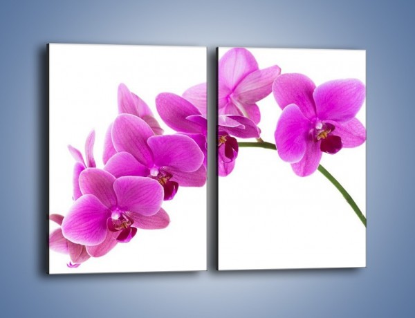 Obraz na płótnie – Kwiaty w lewą stronę – dwuczęściowy prostokątny pionowy K853