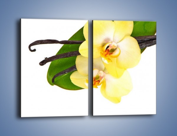 Obraz na płótnie – Waniliowa kwiatowa kompozycja – dwuczęściowy prostokątny pionowy K857