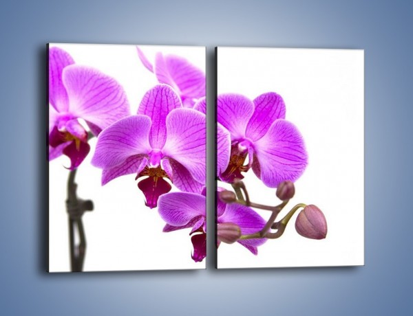 Obraz na płótnie – Samotne kwiaty bez dodatków – dwuczęściowy prostokątny pionowy K870