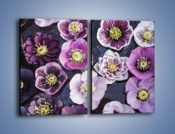 Obraz na płótnie – Wszystkie odcienie fioletu w kwiatach – dwuczęściowy prostokątny pionowy K876
