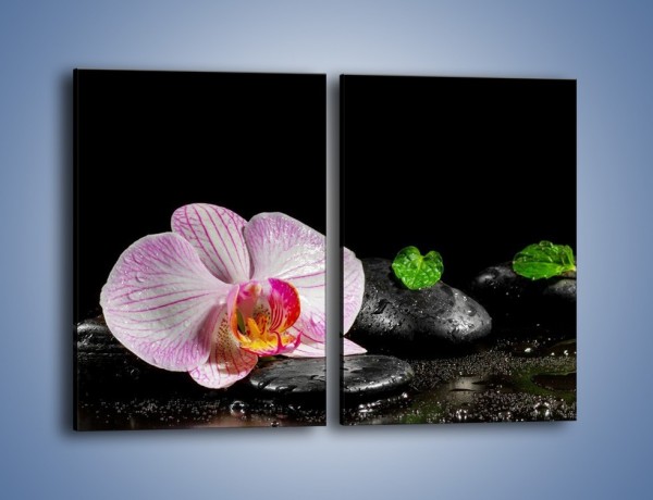 Obraz na płótnie – Kwiat w mokrym klimacie – dwuczęściowy prostokątny pionowy K882