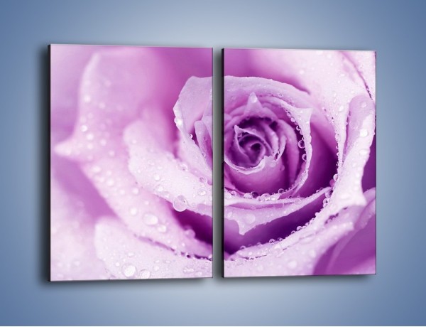Obraz na płótnie – Jasny fiolet w róży – dwuczęściowy prostokątny pionowy K894