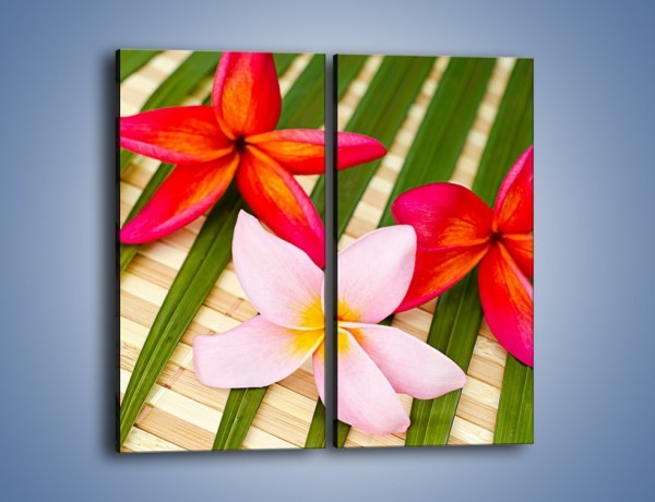 Obraz na płótnie – Liście juki i kwiaty – dwuczęściowy prostokątny pionowy K897