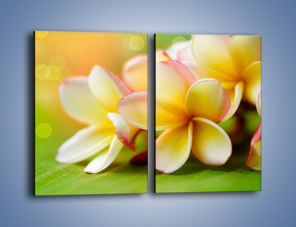 Obraz na płótnie – Kwiaty jak marcepanowe wypieki – dwuczęściowy prostokątny pionowy K898