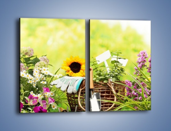 Obraz na płótnie – Sezon na działkowe kwiatki – dwuczęściowy prostokątny pionowy K917