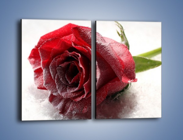 Obraz na płótnie – Zimne podłoże i czerwona róża – dwuczęściowy prostokątny pionowy K933