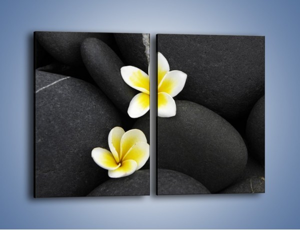 Obraz na płótnie – Kwiaty wrzucone w kamienne szczeliny – dwuczęściowy prostokątny pionowy K934