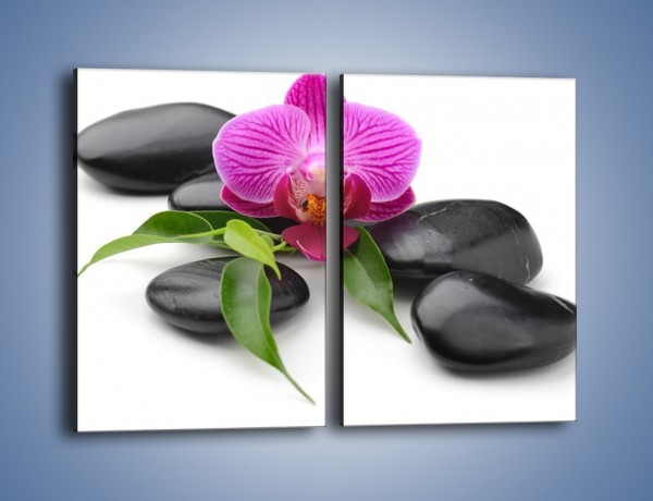 Obraz na płótnie – Kwiat i jego liście – dwuczęściowy prostokątny pionowy K941