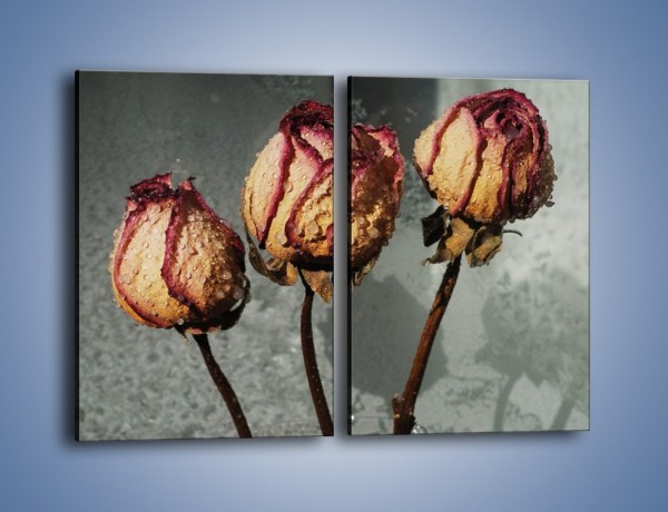 Obraz na płótnie – Ususzone zmoczone róże – dwuczęściowy prostokątny pionowy K944