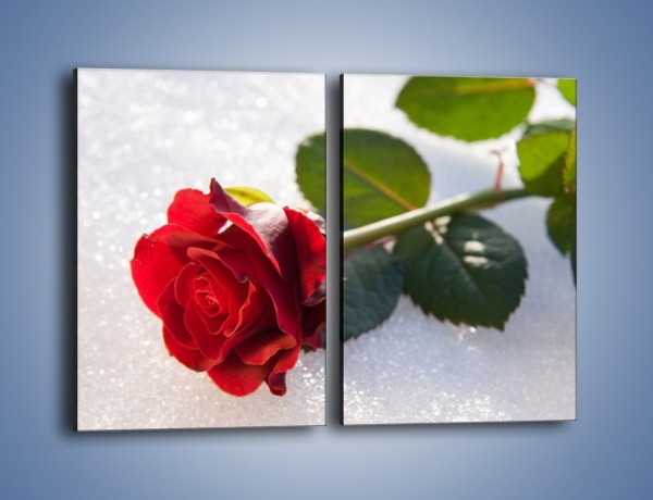 Obraz na płótnie – Gorąca róża na zmrożonej tafli – dwuczęściowy prostokątny pionowy K946