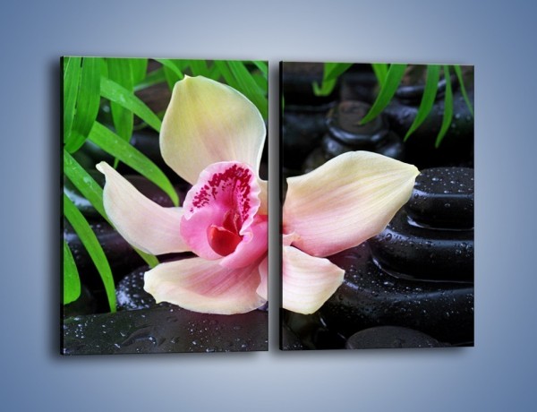 Obraz na płótnie – Cudny kwiat na pierwszym planie – dwuczęściowy prostokątny pionowy K951