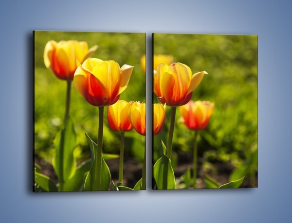 Obraz na płótnie – Pomarańczowe kwiaty i zieleń – dwuczęściowy prostokątny pionowy K952