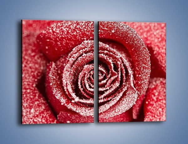 Obraz na płótnie – Szron na różanych płatkach – dwuczęściowy prostokątny pionowy K958