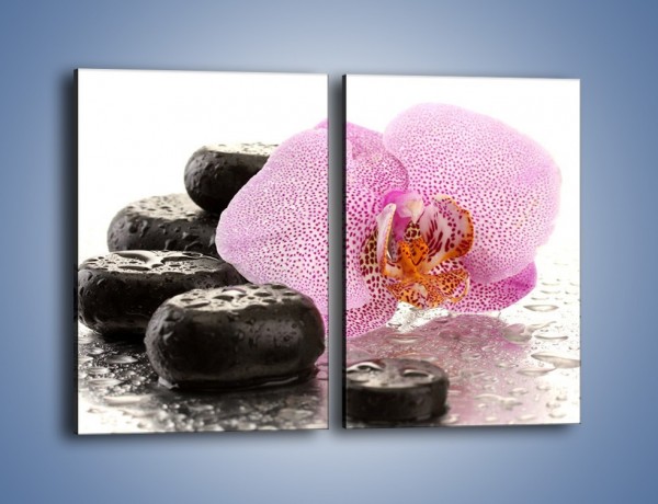 Obraz na płótnie – Kwiat otoczony kamieniami – dwuczęściowy prostokątny pionowy K967