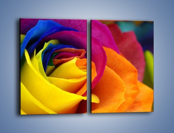 Obraz na płótnie – Pąki róż w kolorach tęczy – dwuczęściowy prostokątny pionowy K973