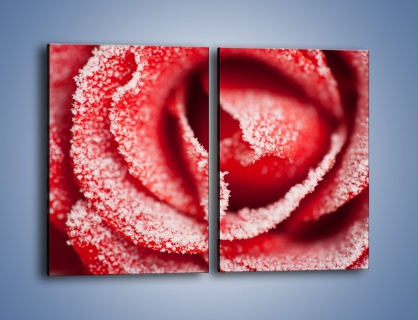 Obraz na płótnie – Zima widoczna na róży – dwuczęściowy prostokątny pionowy K974