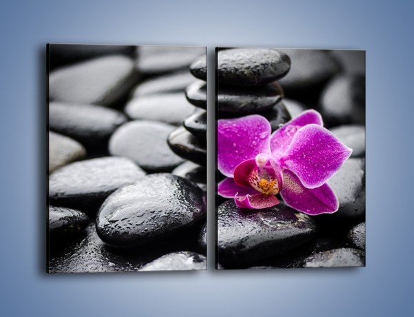 Obraz na płótnie – Malutki kwiatek i morze kamieni – dwuczęściowy prostokątny pionowy K983