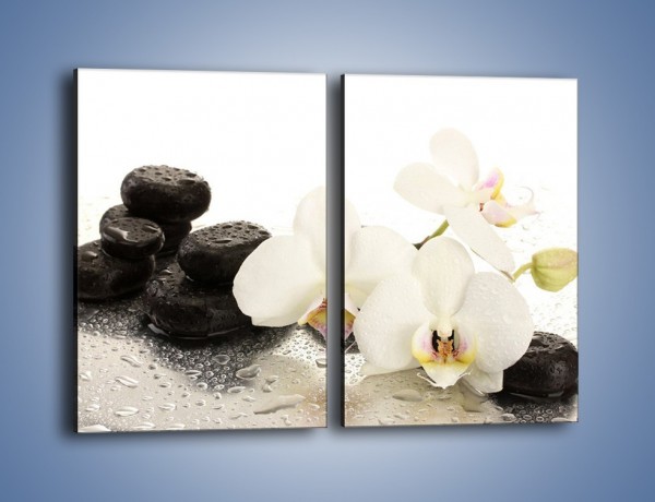 Obraz na płótnie – Mokre kwiaty i kamienie – dwuczęściowy prostokątny pionowy K986