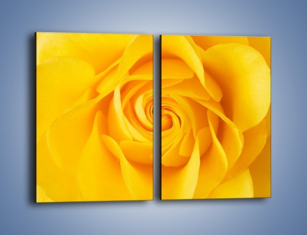 Obraz na płótnie – Moc żółtej róży – dwuczęściowy prostokątny pionowy K989