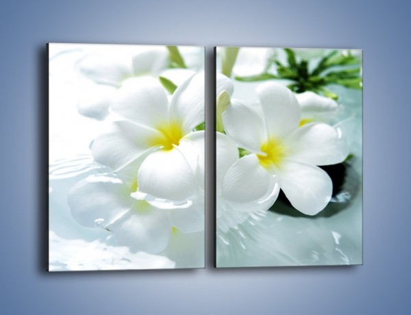 Obraz na płótnie – Białe kwiaty w potoku – dwuczęściowy prostokątny pionowy K991