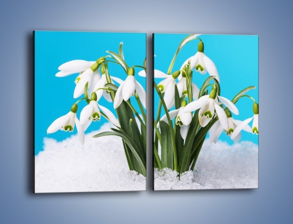 Obraz na płótnie – Śnieg niebo i przebiśniegi – dwuczęściowy prostokątny pionowy K998