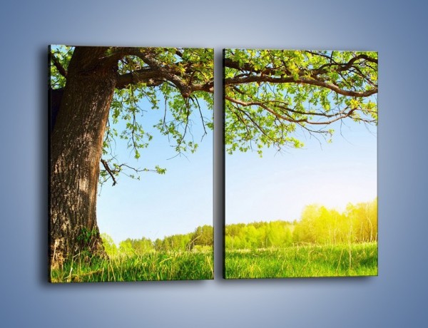 Obraz na płótnie – Drzewo na wsi – dwuczęściowy prostokątny pionowy KN024