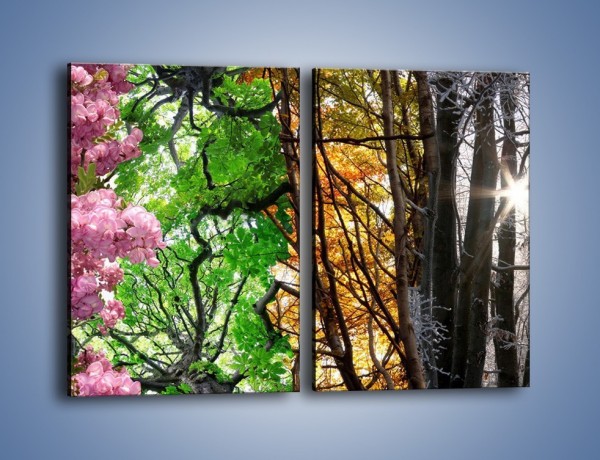 Obraz na płótnie – Drzewa w różnych kolorach – dwuczęściowy prostokątny pionowy KN037