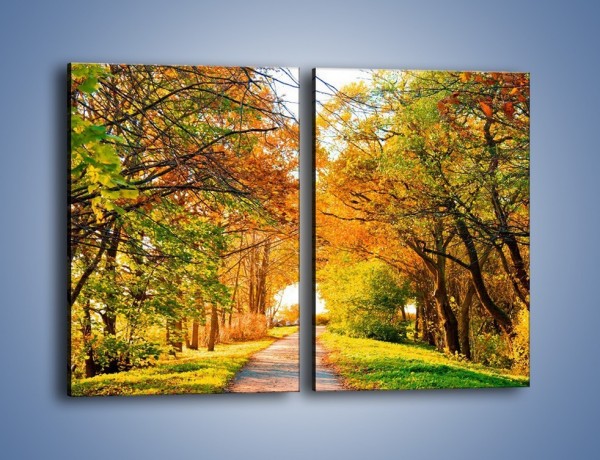 Obraz na płótnie – Jesienna drogą – dwuczęściowy prostokątny pionowy KN064