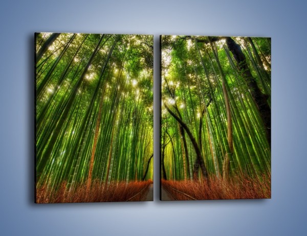 Obraz na płótnie – Przejście pomiędzy drzewami – dwuczęściowy prostokątny pionowy KN1021
