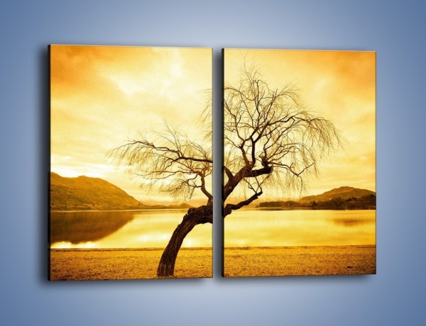 Obraz na płótnie – Pochylone drzewo w sepii – dwuczęściowy prostokątny pionowy KN1033