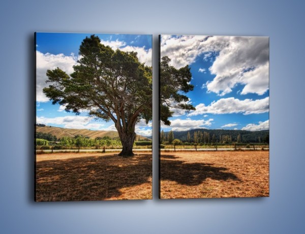 Obraz na płótnie – Cień pod rozłożystym drzewem – dwuczęściowy prostokątny pionowy KN1037
