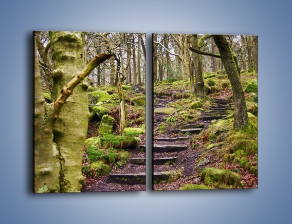 Obraz na płótnie – Schodkami przez las – dwuczęściowy prostokątny pionowy KN1054