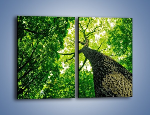 Obraz na płótnie – Wysoko na drzewie – dwuczęściowy prostokątny pionowy KN1070