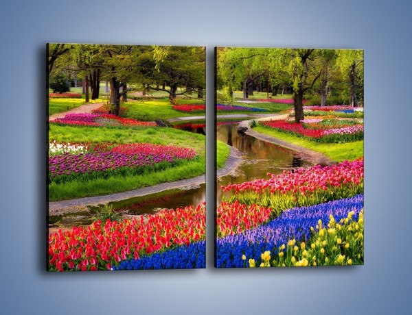 Obraz na płótnie – Aleje kolorowych tulipanów – dwuczęściowy prostokątny pionowy KN1079