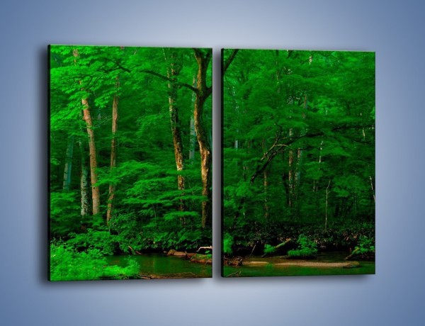 Obraz na płótnie – Mocno zarośnięty las – dwuczęściowy prostokątny pionowy KN1089A