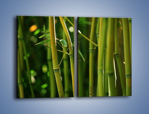Obraz na płótnie – Bambusowe łodygi z bliska – dwuczęściowy prostokątny pionowy KN118
