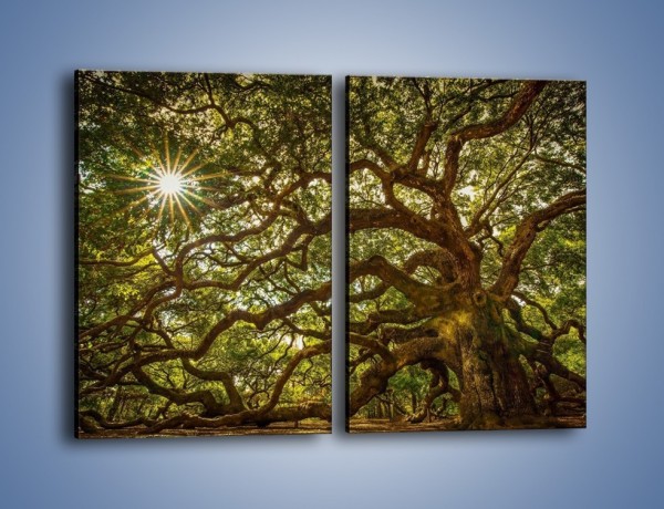Obraz na płótnie – Drzewo które ma tysiąc rąk – dwuczęściowy prostokątny pionowy KN1186A