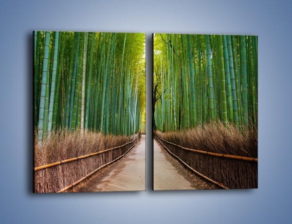 Obraz na płótnie – Bambusowy las – dwuczęściowy prostokątny pionowy KN1187A