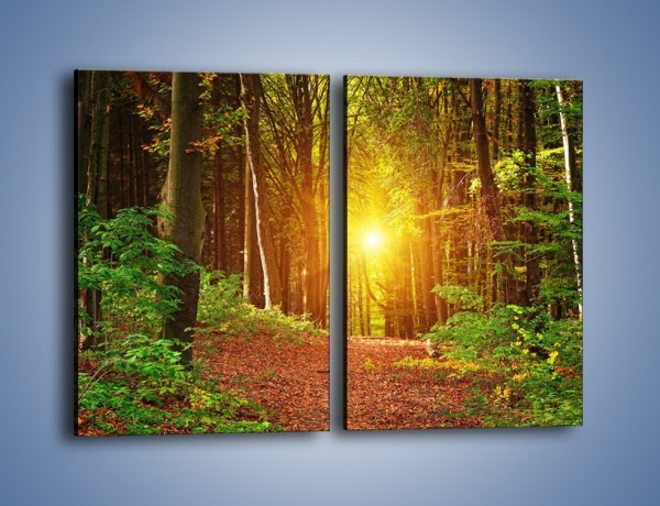 Obraz na płótnie – Polski krajobraz leśny – dwuczęściowy prostokątny pionowy KN1257A