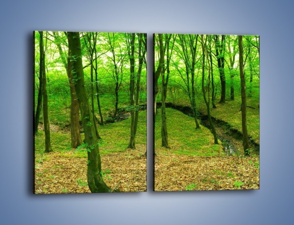 Obraz na płótnie – Wąskie spojrzenie na las – dwuczęściowy prostokątny pionowy KN1264A