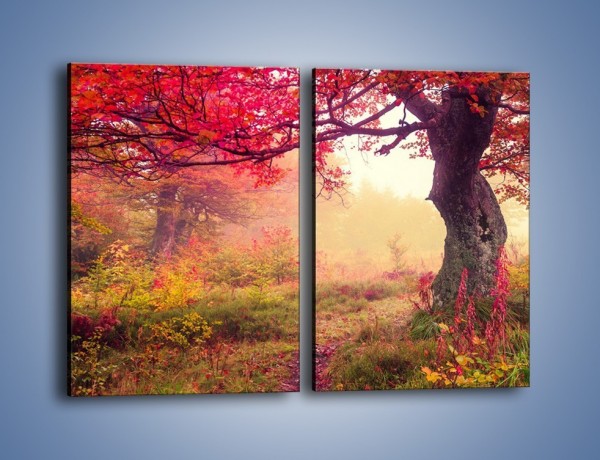 Obraz na płótnie – Kolorowa dzika łąka – dwuczęściowy prostokątny pionowy KN1268A
