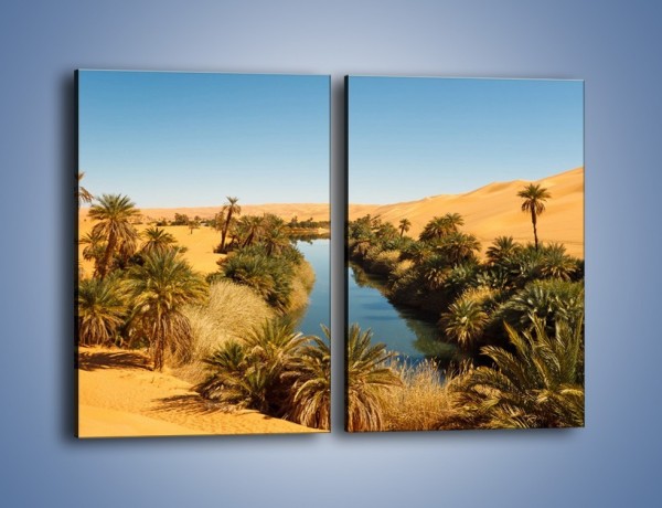 Obraz na płótnie – Woda woda na pustyni – dwuczęściowy prostokątny pionowy KN1294A
