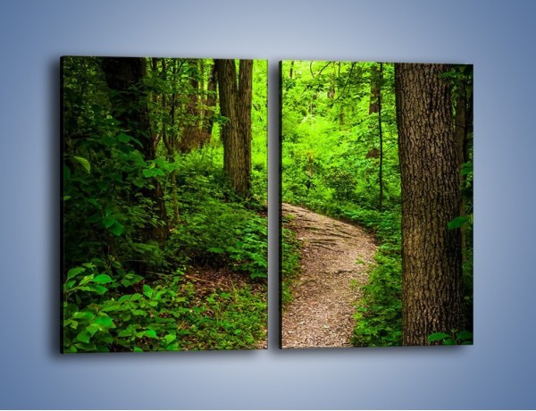 Obraz na płótnie – Wąską ścieżką leśną – dwuczęściowy prostokątny pionowy KN1296A