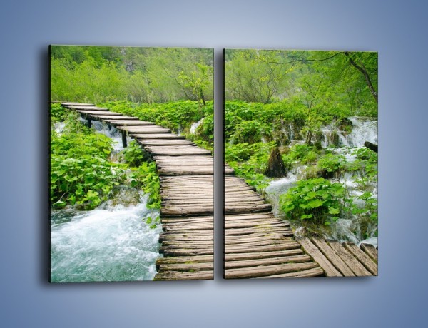 Obraz na płótnie – Dziki most i niepewność – dwuczęściowy prostokątny pionowy KN1297A