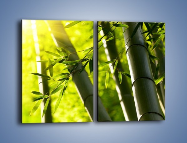 Obraz na płótnie – Twarde łodygi bambusa – dwuczęściowy prostokątny pionowy KN1314A