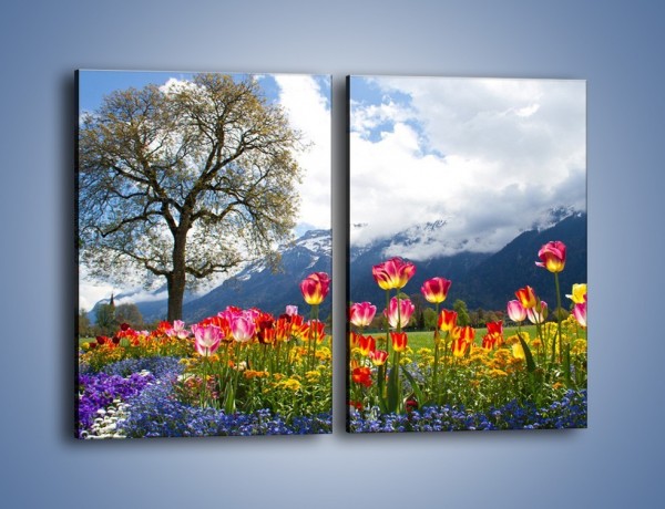 Obraz na płótnie – Tulipanki i ich towarzysze – dwuczęściowy prostokątny pionowy KN1333A
