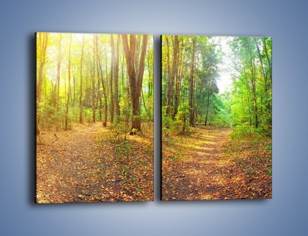 Obraz na płótnie – Przejrzysty piękny las – dwuczęściowy prostokątny pionowy KN1344A
